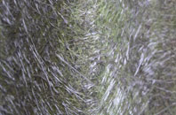 Bute Town fibreglass roof work